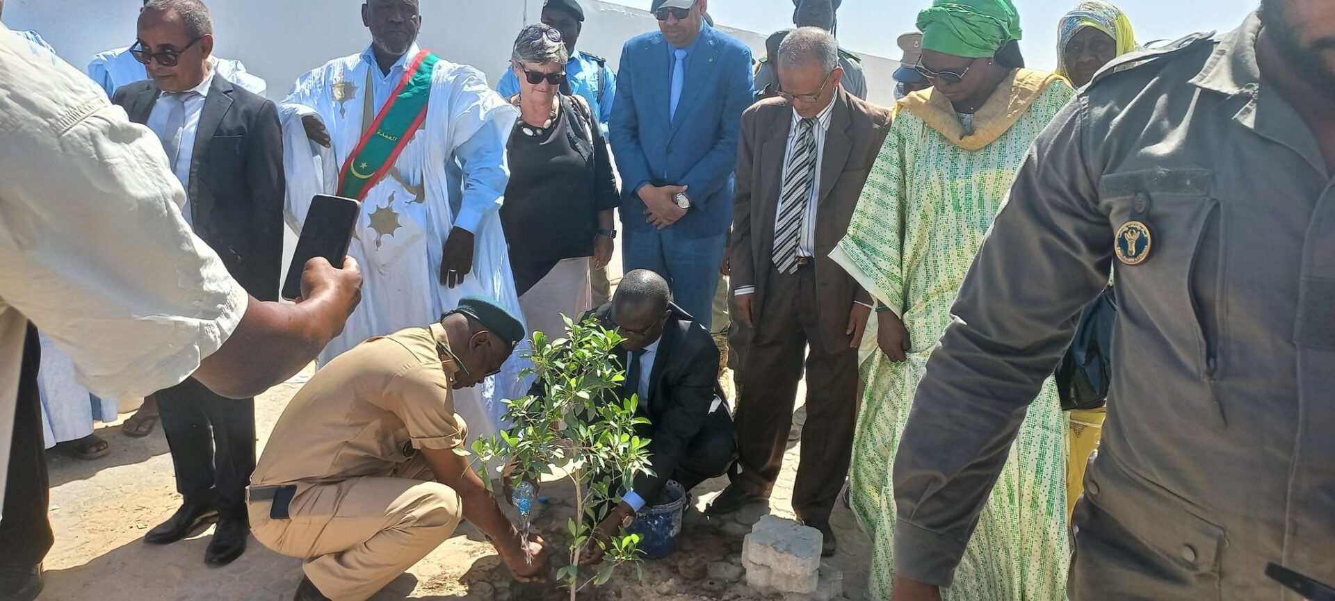 Lancement de la Quinzaine de l'Environnement à Nouadhibou : plantation d'arbres, éducation environnementale